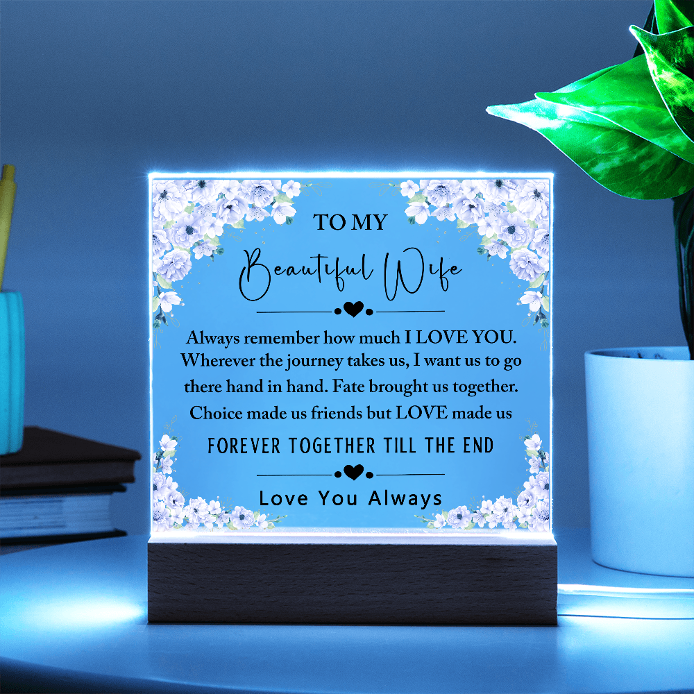 To My Beautiful Wife Acrylic Plaque, Gifts for Wife, Anniversary Gift, Valentine's Day Gift, To The Love of My Life, Birthday Gift