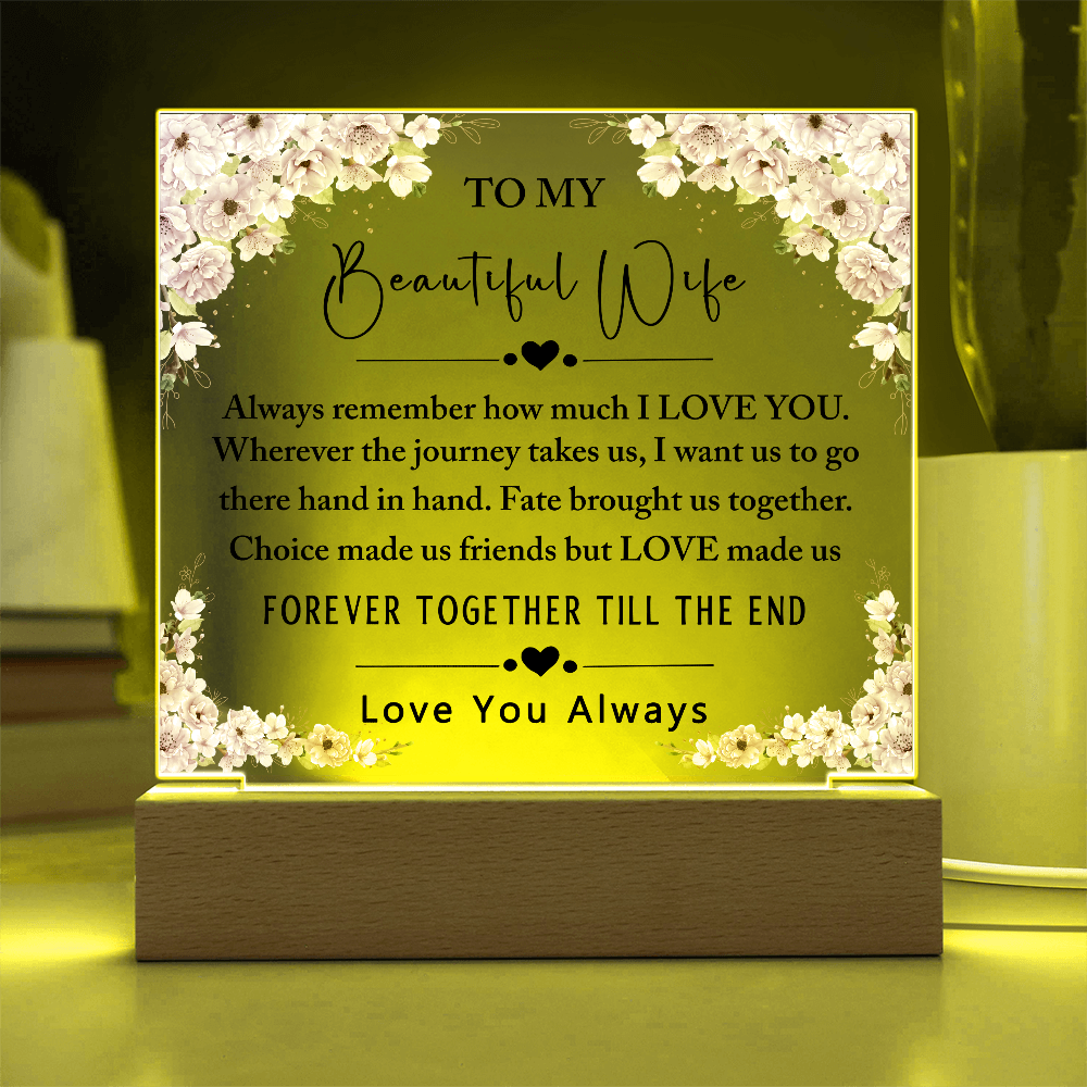 To My Beautiful Wife Acrylic Plaque, Gifts for Wife, Anniversary Gift, Valentine's Day Gift, To The Love of My Life, Birthday Gift