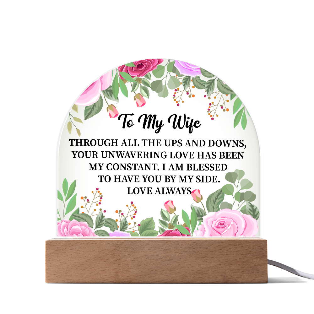 To My Wife Acrylic Plaque Gift, Birthday Gift, Anniversary Gift, Valentine Day Gift, Gift from Husband to Wife