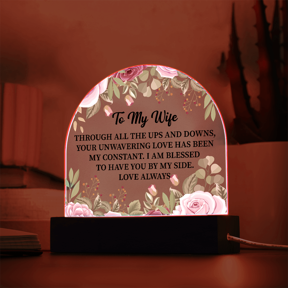 To My Wife Acrylic Plaque Gift, Birthday Gift, Anniversary Gift, Valentine Day Gift, Gift from Husband to Wife