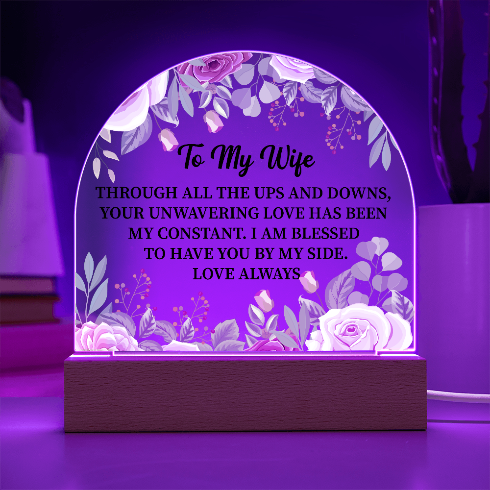 To My Wife Acrylic Plaque Gift, Birthday Gift, Anniversary Gift, Valentine Day Gift, Gift from Husband to Wife