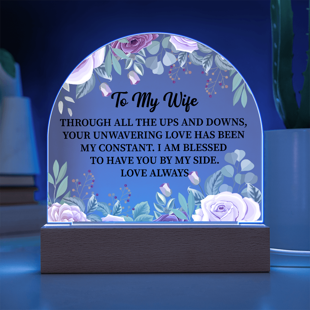To My Wife Acrylic Plaque Gift, Birthday Gift, Anniversary Gift, Valentine Day Gift, Gift from Husband to Wife
