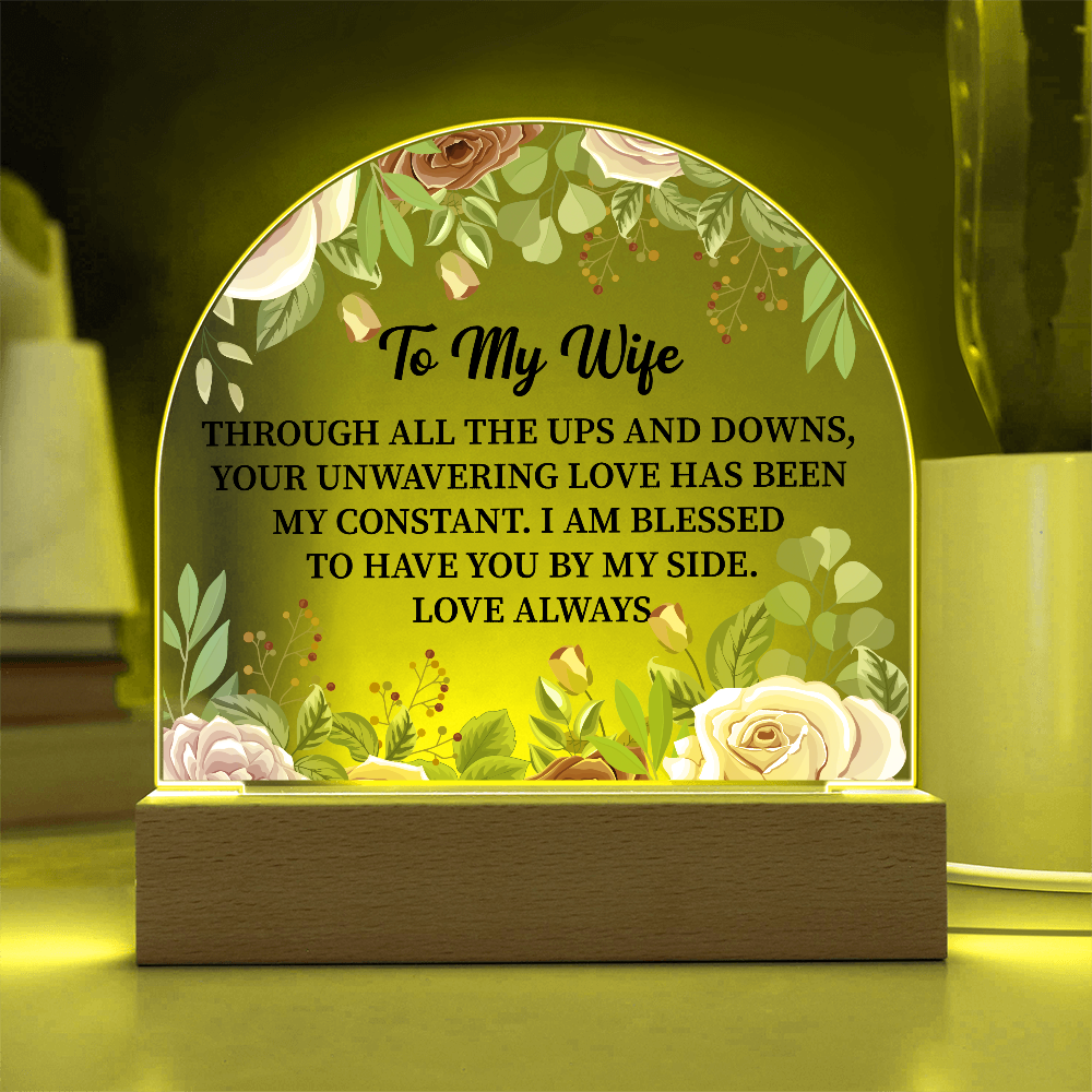 To My Wife Acrylic Plaque Gift, Birthday Gift, Anniversary Gift, Valentine Day Gift, Gift from Husband to Wife