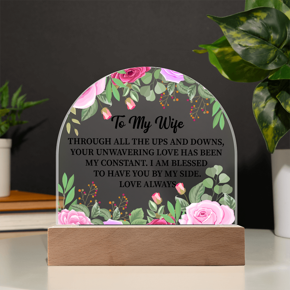 To My Wife Acrylic Plaque Gift, Birthday Gift, Anniversary Gift, Valentine Day Gift, Gift from Husband to Wife