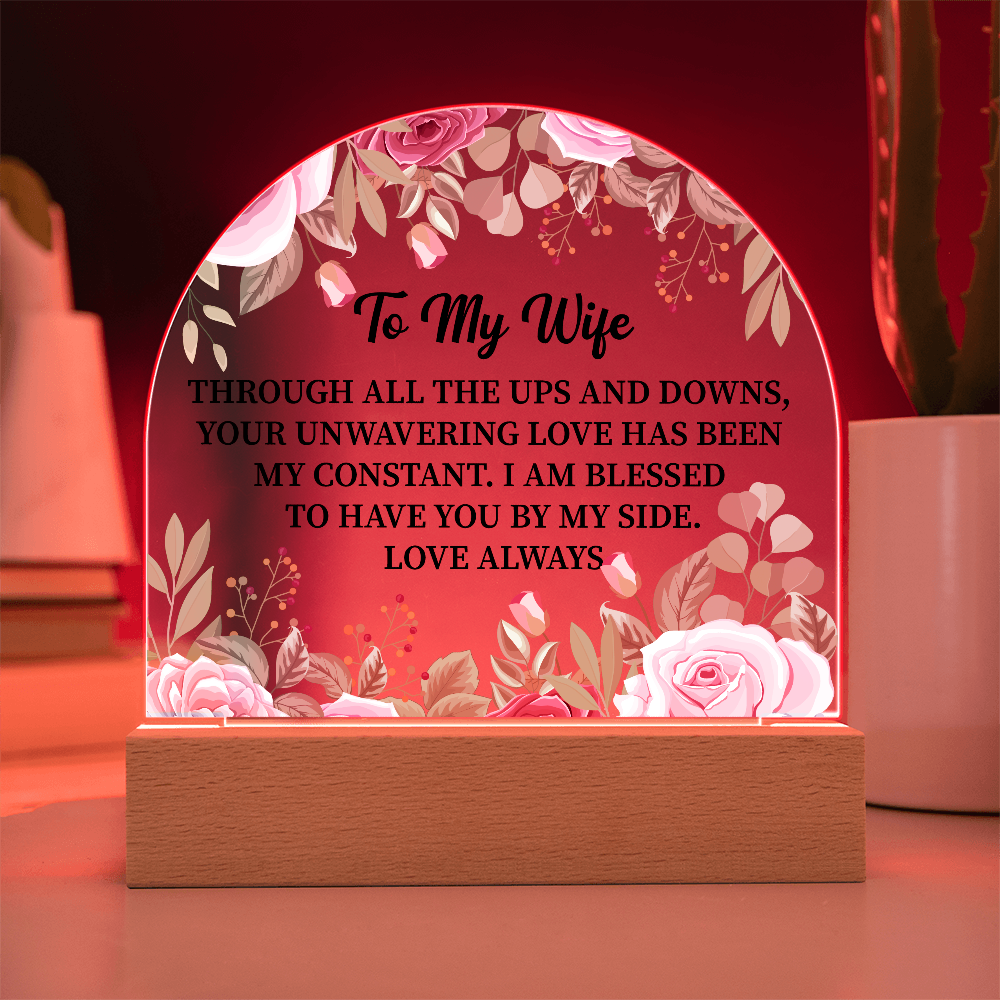 To My Wife Acrylic Plaque Gift, Birthday Gift, Anniversary Gift, Valentine Day Gift, Gift from Husband to Wife