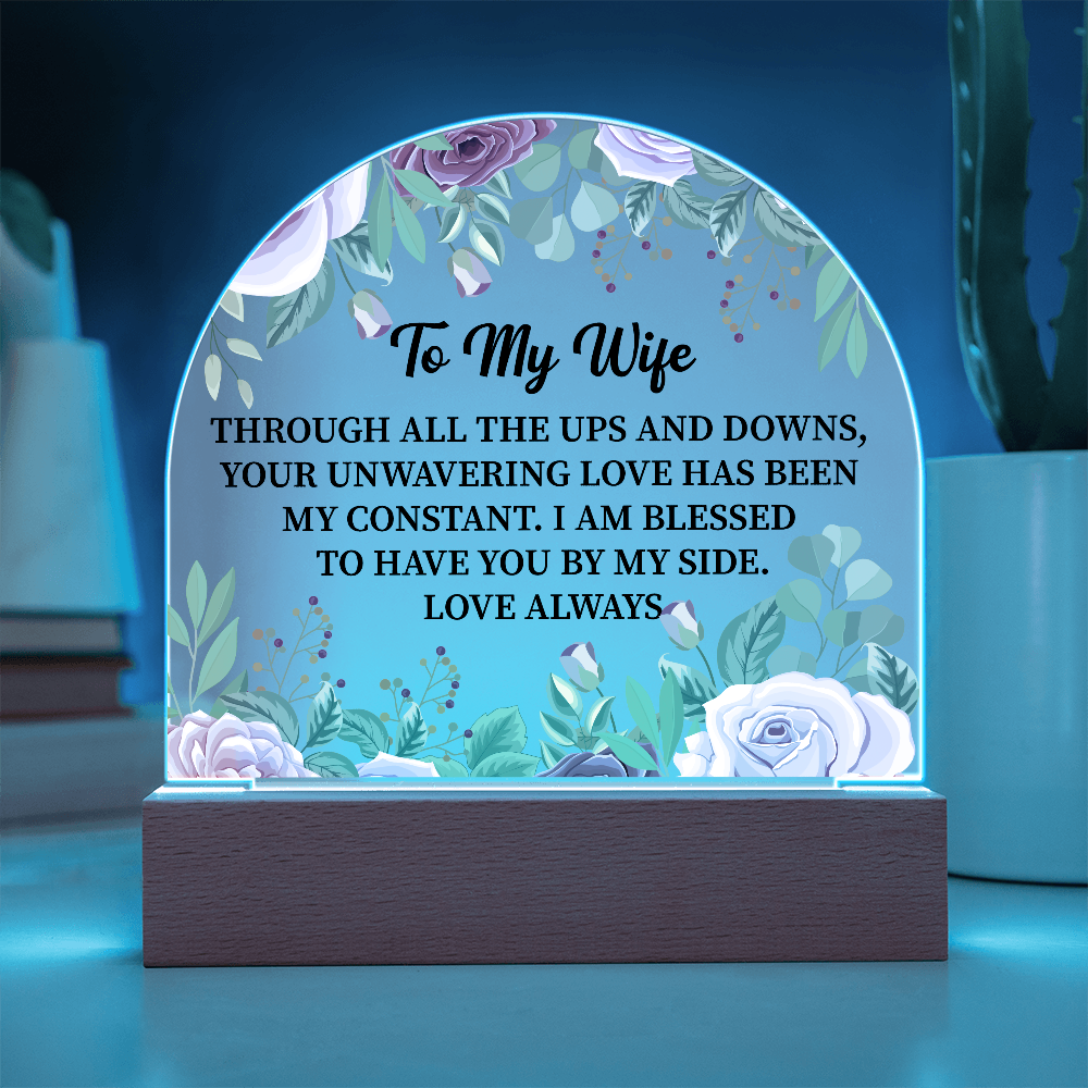 To My Wife Acrylic Plaque Gift, Birthday Gift, Anniversary Gift, Valentine Day Gift, Gift from Husband to Wife