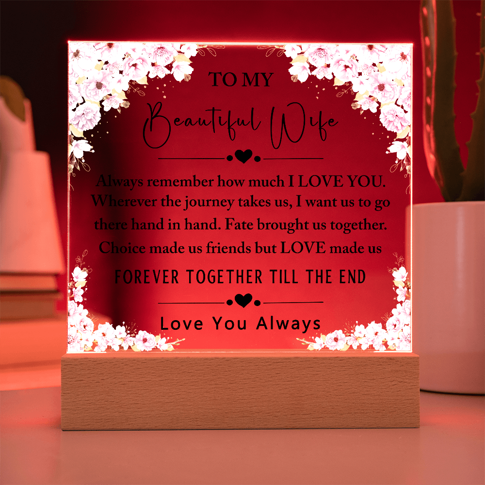 To My Beautiful Wife Acrylic Plaque, Gifts for Wife, Anniversary Gift, Valentine's Day Gift, To The Love of My Life, Birthday Gift